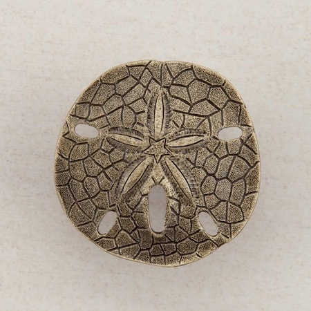 Acorn Mfg Artisan Collection Sand Dollar Knob, Antique Brass DPDAP